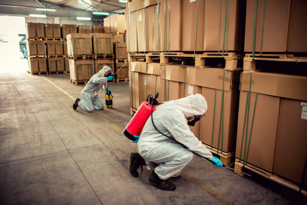 Best Pest Control Treatment  in Broad Brook, CT