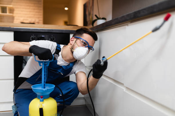 Best Pest Control Cost  in Broad Brook, CT