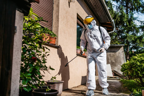Best Cockroach Control Services  in Broad Brook, CT