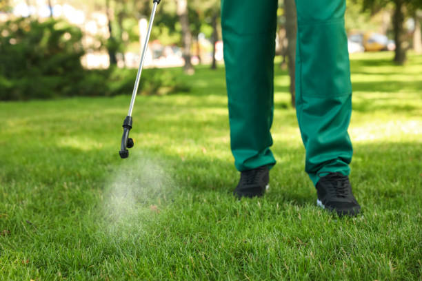 Trusted Broad Brook, CT Pest Control Experts