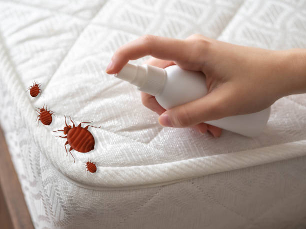 Best Wildlife Control Services  in Broad Brook, CT