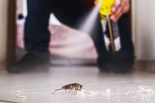 Best Residential Pest Control  in Broad Brook, CT