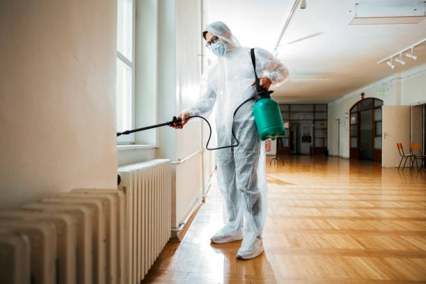 Best Termite Control Services  in Broad Brook, CT
