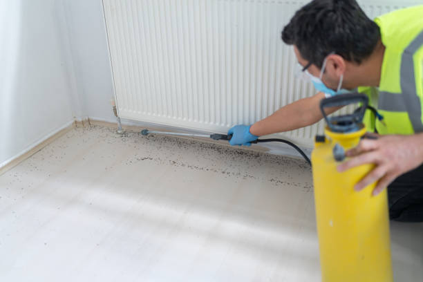 Best Best Pest Control Companies  in Broad Brook, CT